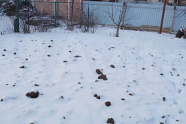 Участок 5 сот. (ИЖС)