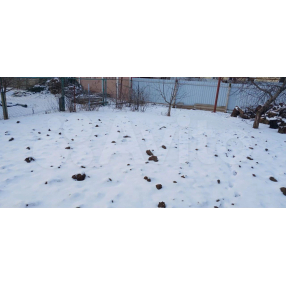 Участок 5 сот. (ИЖС)